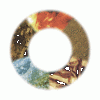 ring.gif